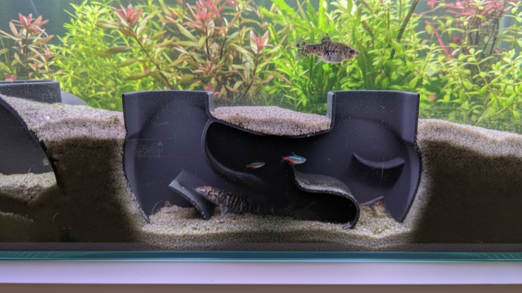Aquatic Aquarium Tunnel