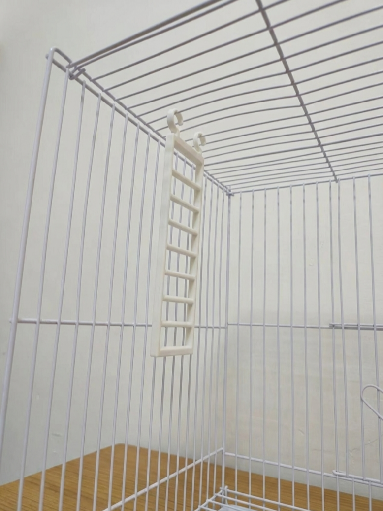 Avian Bird Parrot Ladder Stairs