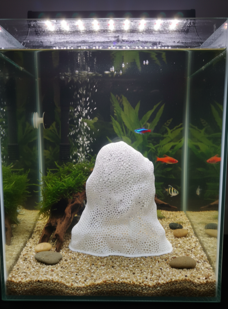 Aquatic Coral Safe Space for Fish Babies, or baby