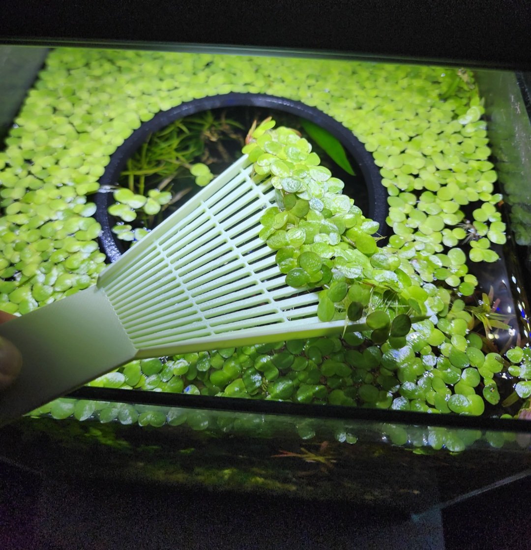 Aquatic Duckweed Algae Scooper
