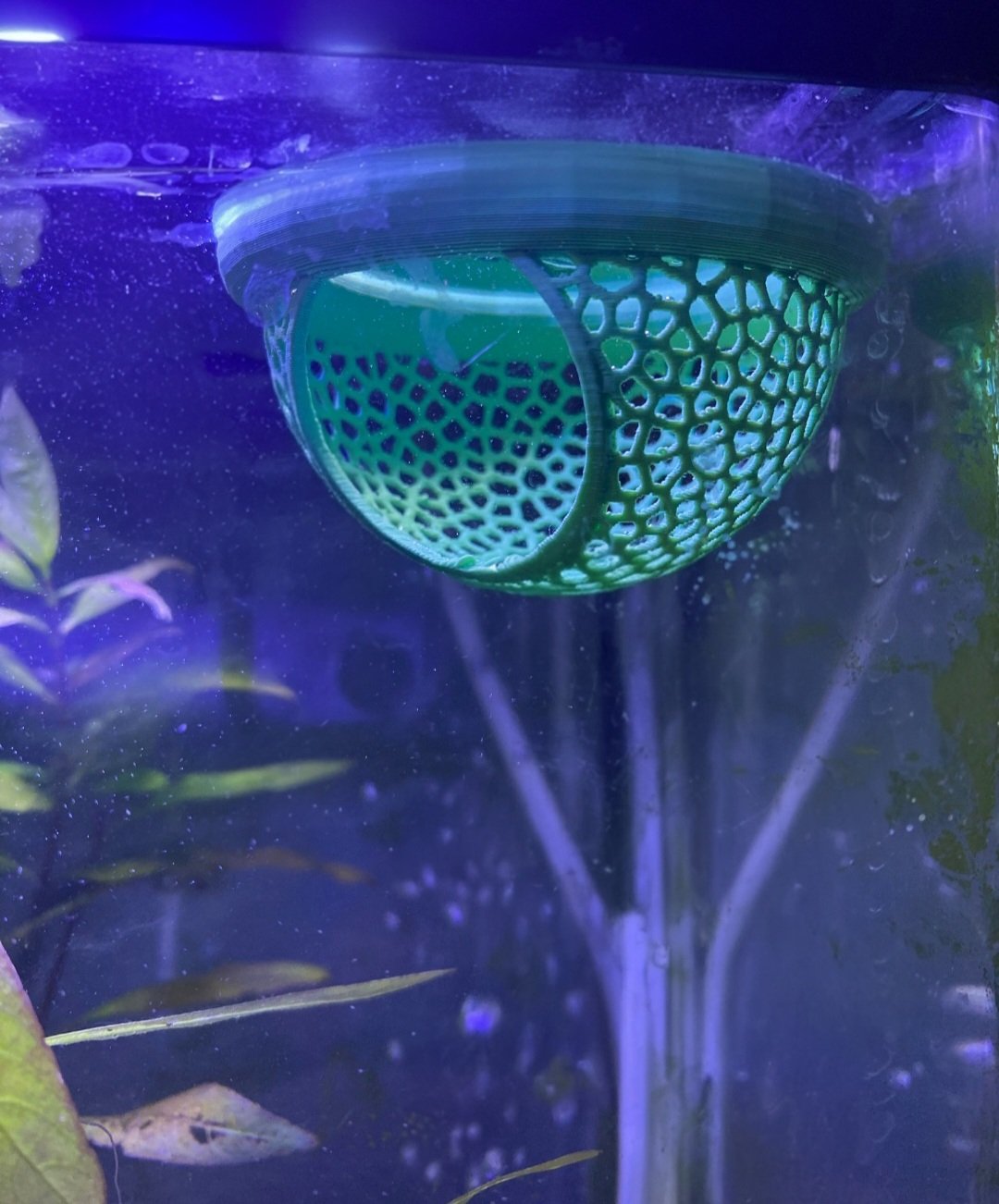 Aquatic Floating Aquarium Hide