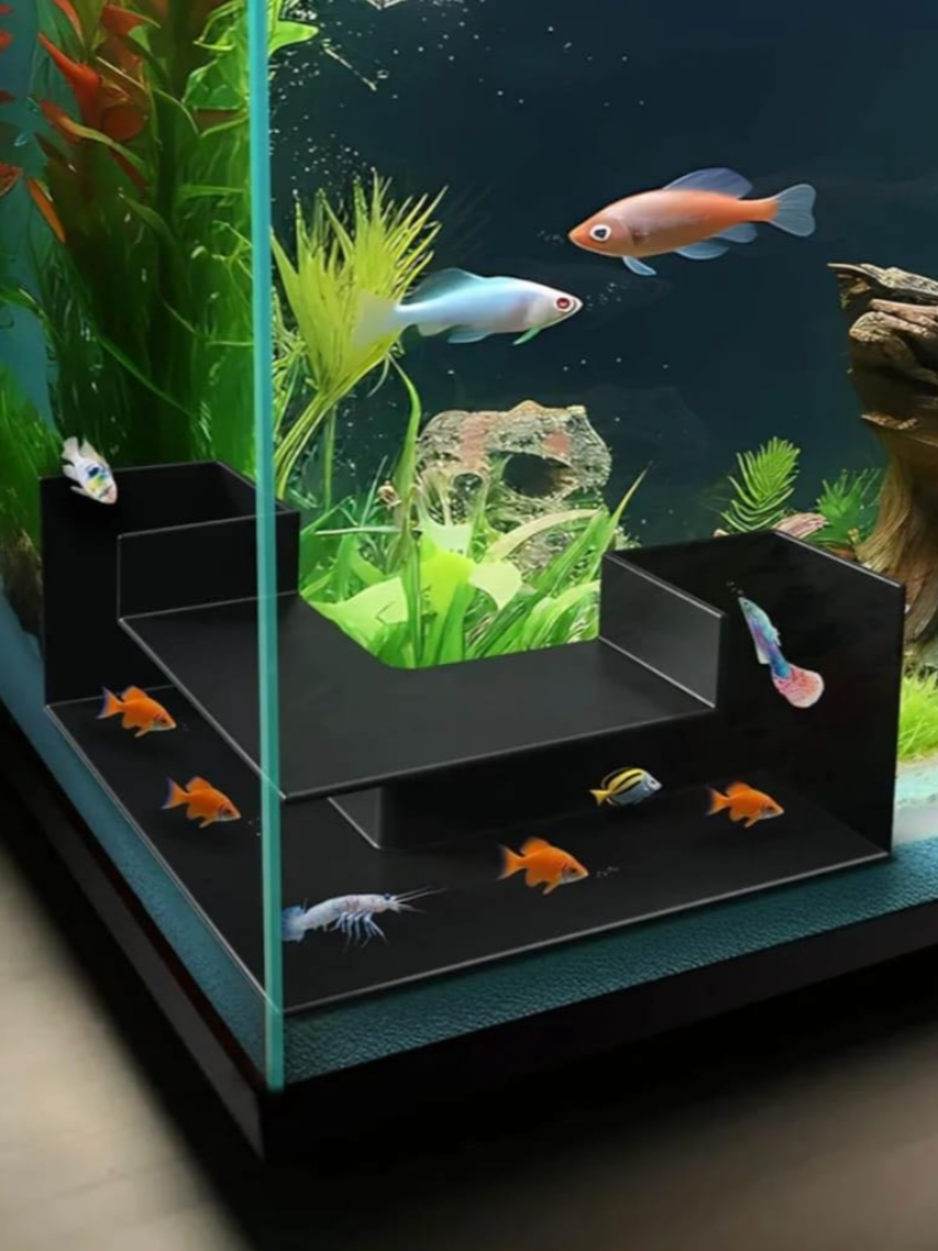 Aquatic Independent Entrance Channels for Fish