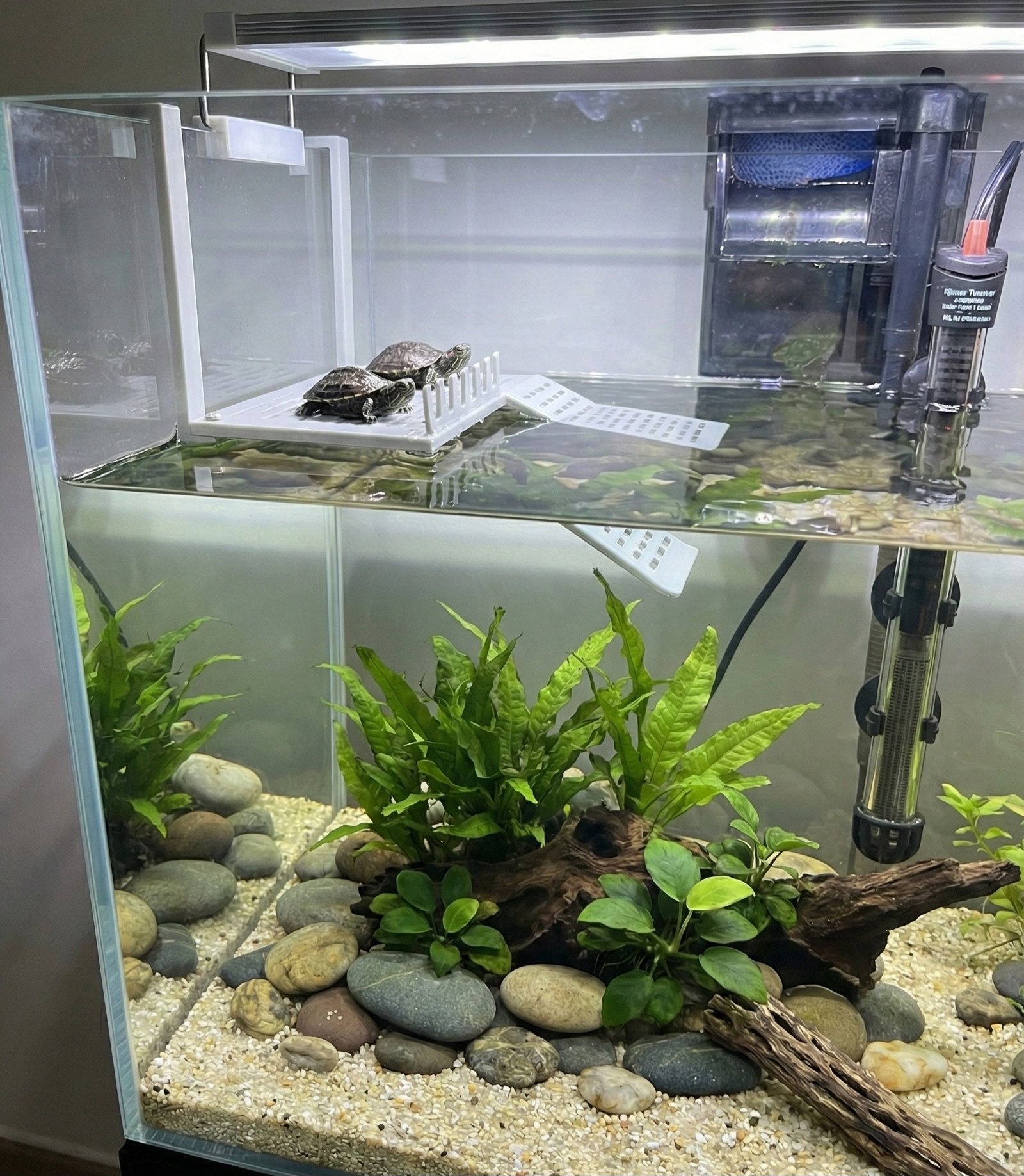 Naturalistic Little Turtle Basking Platform