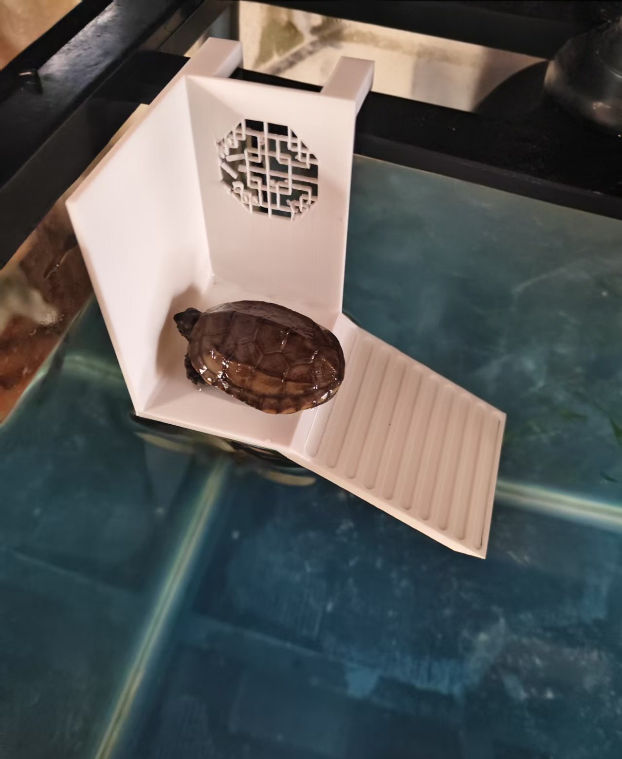 Naturalistic Little Turtle Climbing Frame Resting Pl