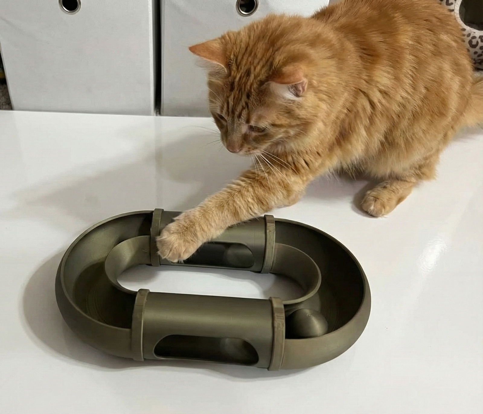 Interactive Modular Cat ball track