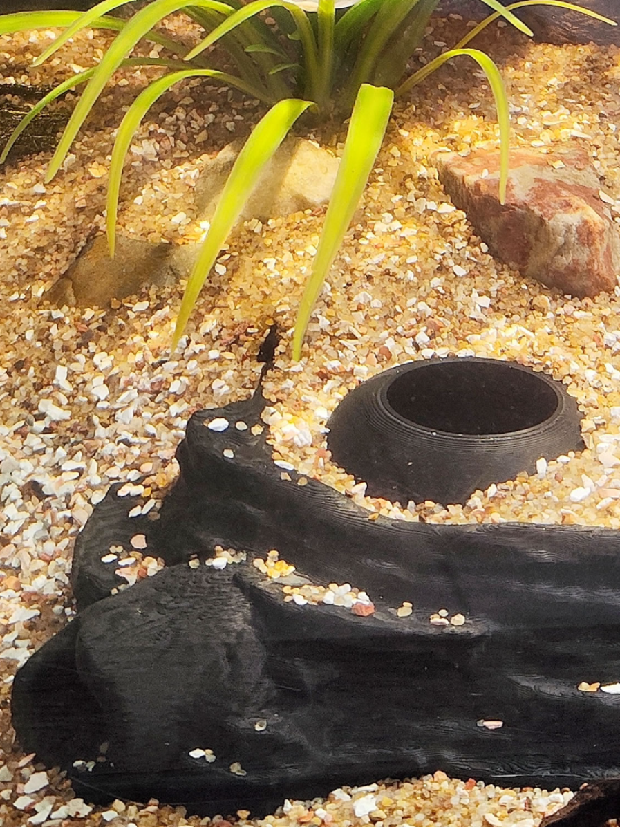 Aquatic Sand Cave