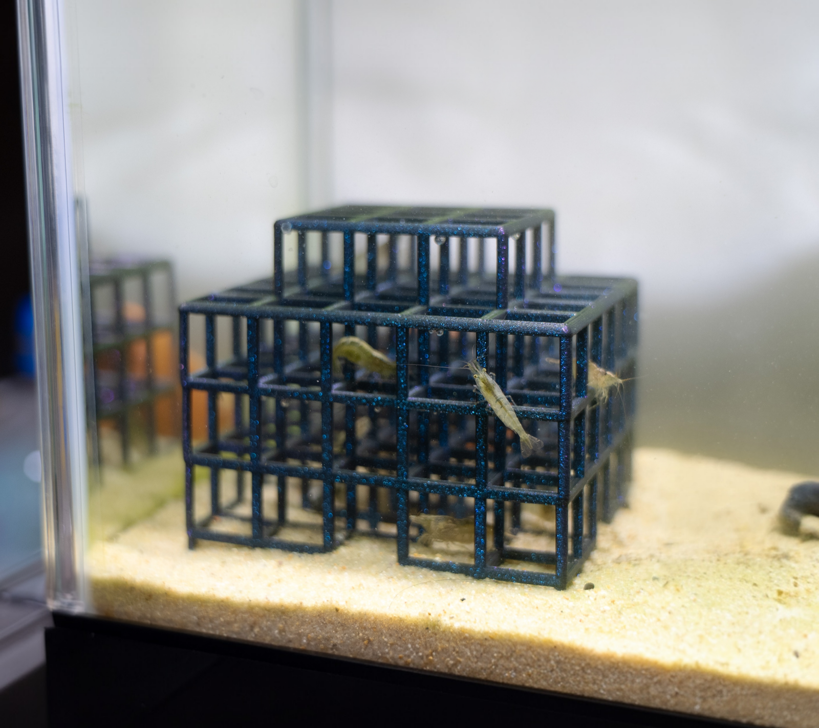 Aquatic Shrimp Jungle Gym Shelter