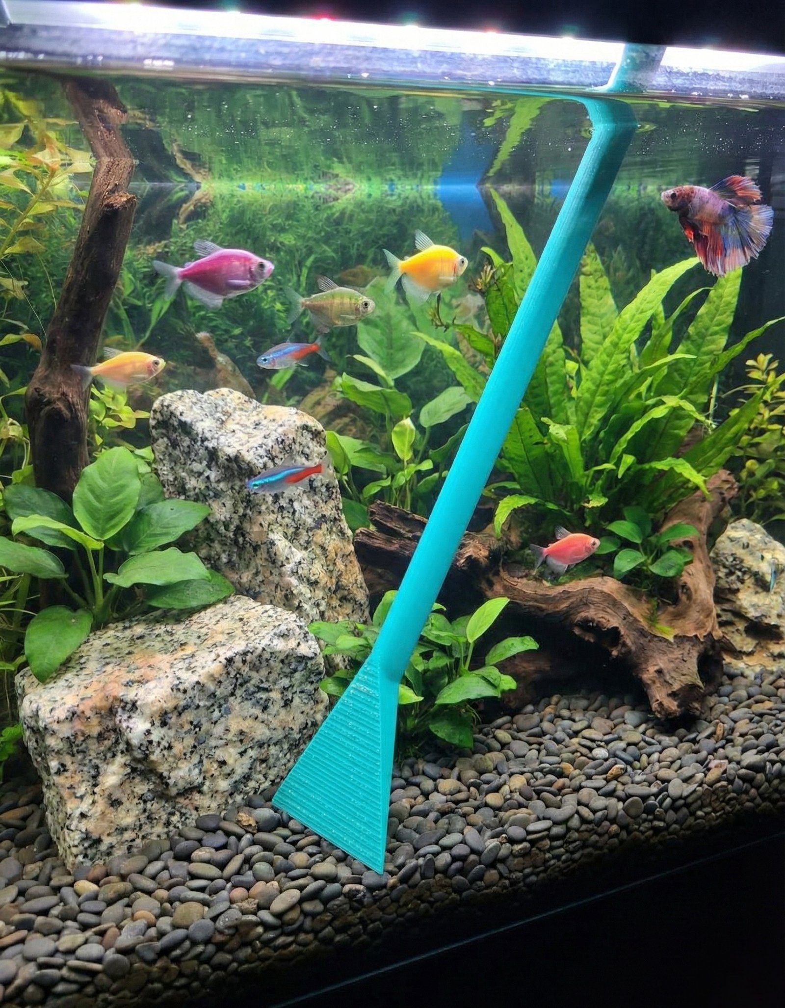 Aquatic Substrate Spatula