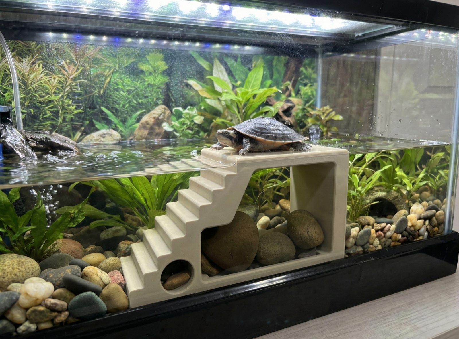 Naturalistic tortoise dock