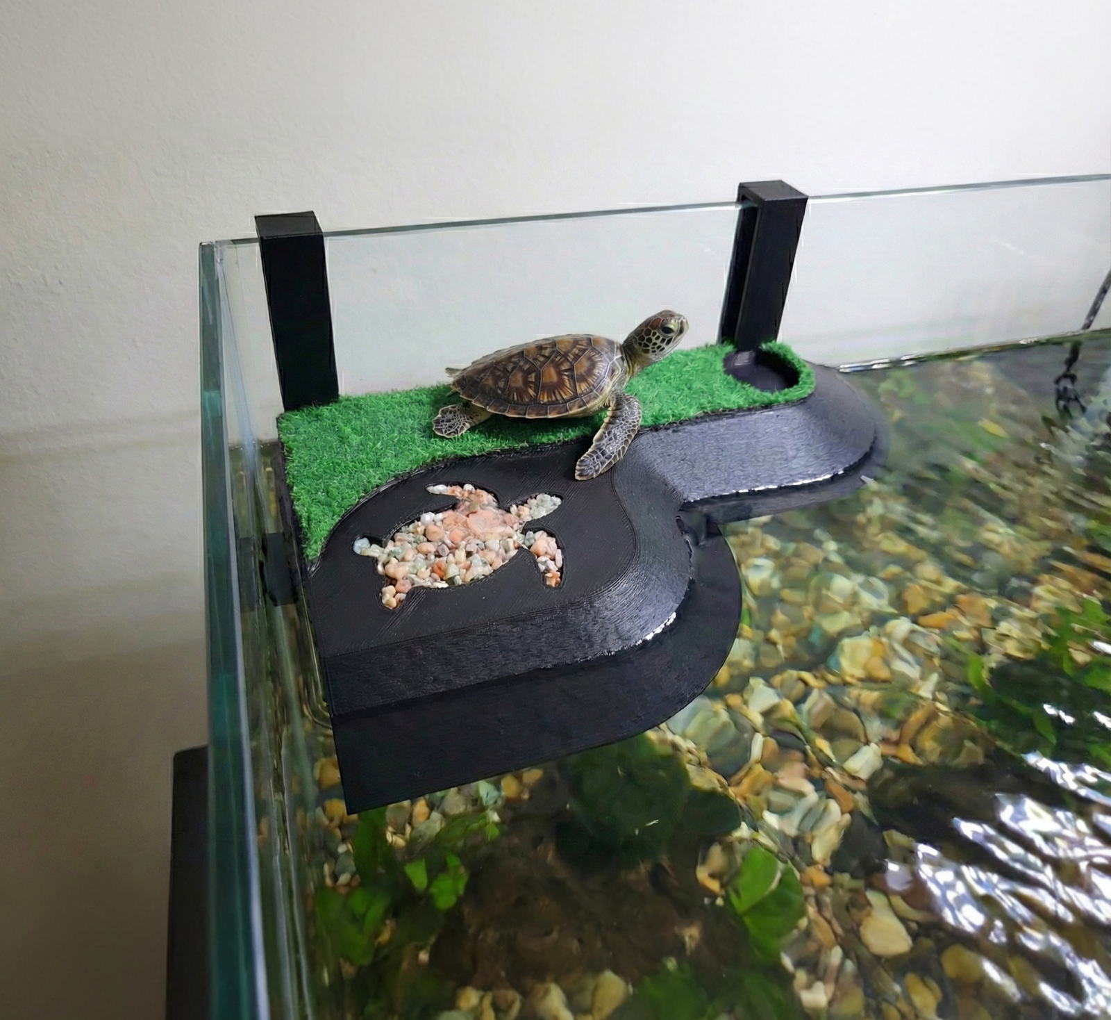 Naturalistic Turtle Island